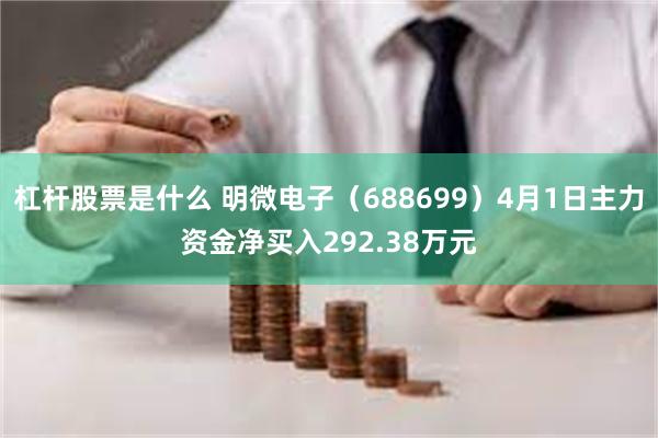 杠杆股票是什么 明微电子（688699）4月1日主力资金净买入292.38万元