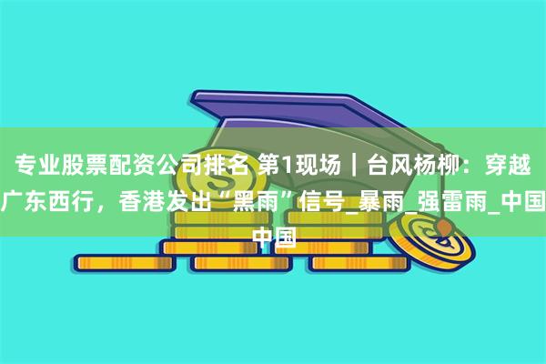 专业股票配资公司排名 第1现场｜台风杨柳：穿越广东西行，香港发出“黑雨”信号_暴雨_强雷雨_中国