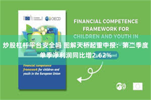 炒股杠杆平台安全吗 图解天桥起重中报：第二季度单季净利润同比增2.62%