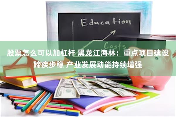 股票怎么可以加杠杆 黑龙江海林：重点项目建设蹄疾步稳 产业发展动能持续增强