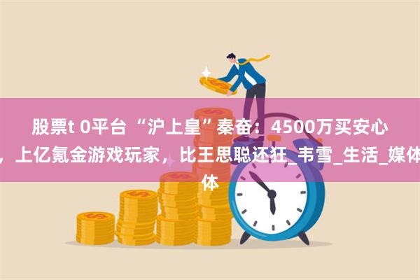 股票t 0平台 “沪上皇”秦奋：4500万买安心，上亿氪金游戏玩家，比王思聪还狂_韦雪_生活_媒体